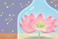 狮子座对胎教有多重视