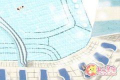 爱过狮子座你才会知道什么叫爱情