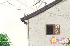 假如你的上司是天秤座会怎么样