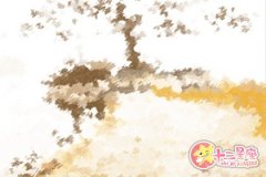 天秤座会因为什么放弃一段感情