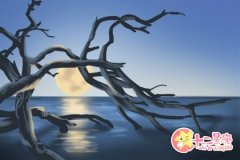 天秤座令人不可理喻的点在哪里
