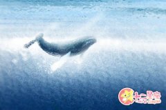 天秤座会不会经常被同事孤立呢？