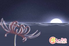 天秤女分别适合什么范儿