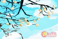 天秤座会直播什么内容来博眼球