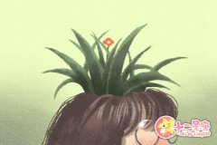 天秤座结婚一定要考虑的问题