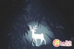 天秤座更愿意把钱投资到哪里