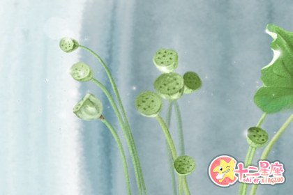 天秤座