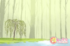 学游泳时，天秤座哪来的安全感