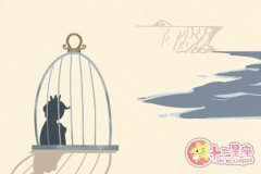 天秤男是什么品种的狗？