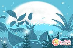 天秤座爱你爱到骨髓会有哪些举动