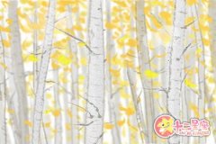 天秤座难以启齿的年少囧事是什么？