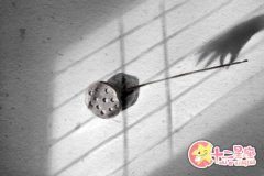 天秤座如何看待生老病死这个话题