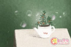 如何处理与天秤男聊死天的尴尬