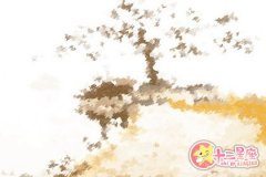 双鱼座遇到情敌会有什么反应
