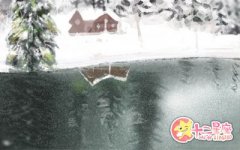 双鱼座会怎么对待自己的天赋