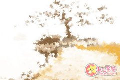 当双鱼女有一个胆小的男票？