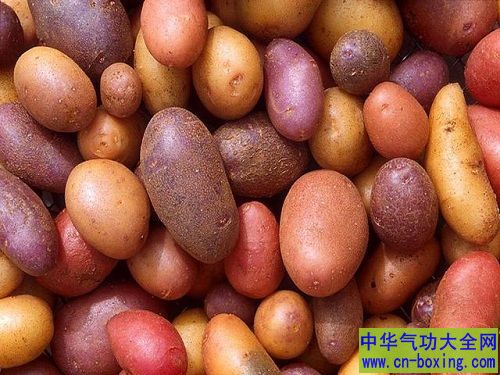 转基因食物的带来危害你知道吗？