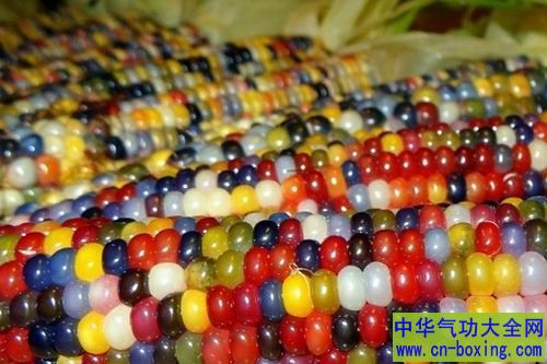 转基因食物的带来危害你知道吗？