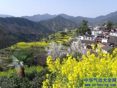 为什么住在高山上活得更长寿健康？