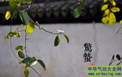 惊蛰易染病毒 饮食应该这样吃