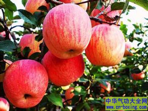 吃了垃圾食品怎么办？ 它是食物的解毒剂