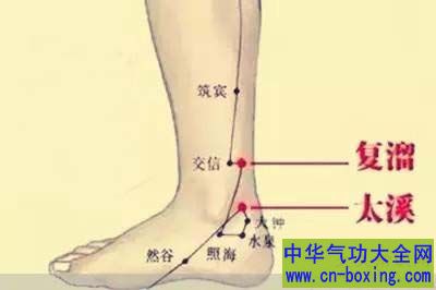 .太溪穴、复溜穴：十全大补汤