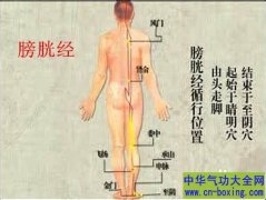 秋季常敲身体3条经络能少生病