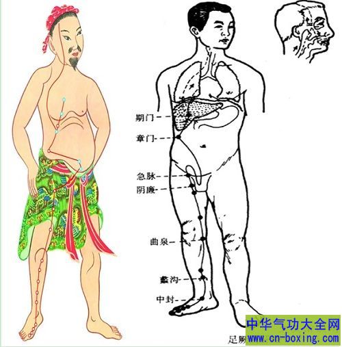 肝经