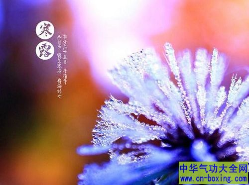 寒 露节 气做好3防能强身少生病