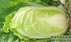 冬季应该吃什么 三类食物提高你的免疫力