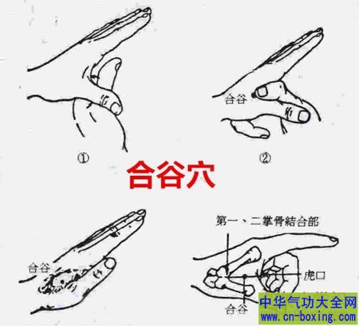 合谷穴