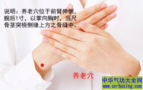 养老穴