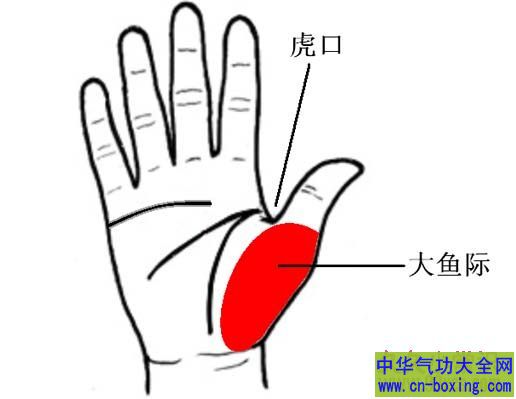 鱼际穴