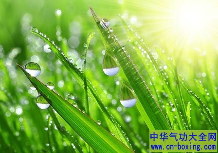 孔子说“不时不食”夏季要吃“苦”