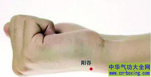手上一个不老穴 可增强抗病力