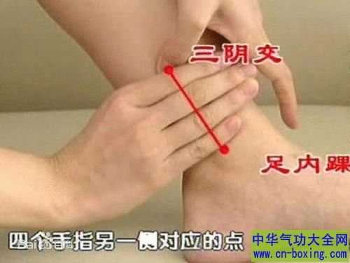 三阴交穴