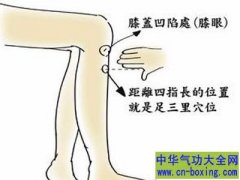 其实想要长寿很简单 每天按压5分钟这个部位
