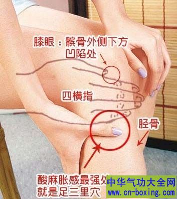 其实想要长寿很简单 每天按压5分钟这个部位