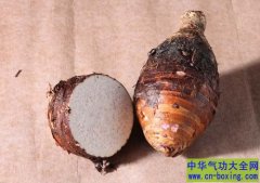 没有癌症的村庄 他们都吃这一物