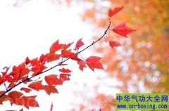 寒露赏菊登高好时节 养生吃什么好