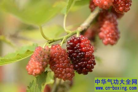 这3种水果最补肾