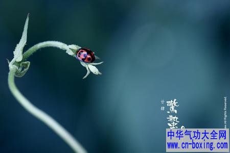 惊蛰节气利用民间习俗开运
