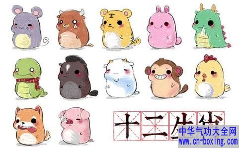 十二生肖如何开运