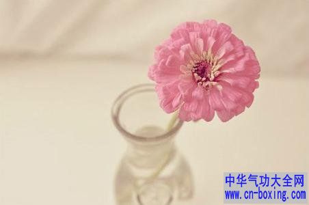 7种花能开运旺财的花