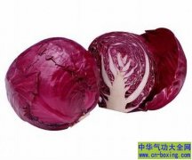 避免身体发炎 十种抗发炎食材吃出好体质