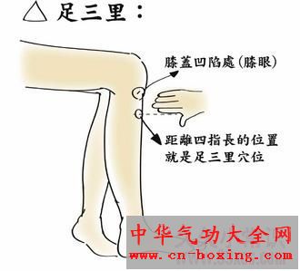 人体有一奇穴 经常按压可抗衰老和长寿