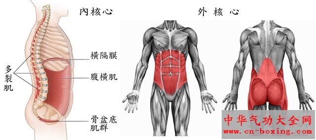 练核心肌群