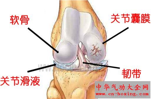 留住体内“润滑油” 可长寿防衰老