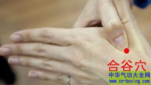 合谷穴