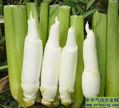 茭白+豆腐